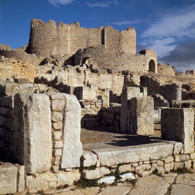 Veduta delle terme liciniane da Roman