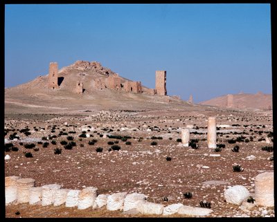Veduta delle tombe a torre di Iamblichus ed Elahbel da Roman