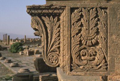 Frammento Architettonico con Decorazione Intagliata, Mercato di Sertius, Alto Periodo Imperiale (27 a.C.-395 d.C.) da Roman Imperial Period
