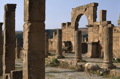 Cardo e ingresso del Mercato di Cosinio, Alto Periodo Imperiale (27 a.C.-395 d.C.) da Roman Imperial Period