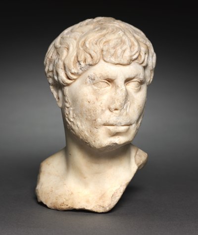 Testa di un uomo barbuto, c.125 da Roman Imperial Period