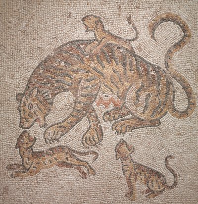 Tigre e cuccioli, 300 d.C. da Roman Imperial Period