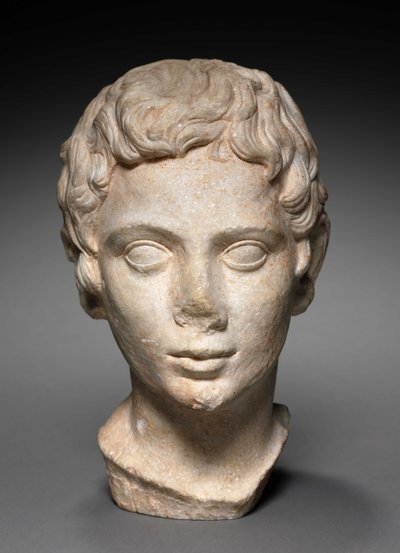 Testa di un giovane, 100-1 a.C. da Roman Period Egyptian