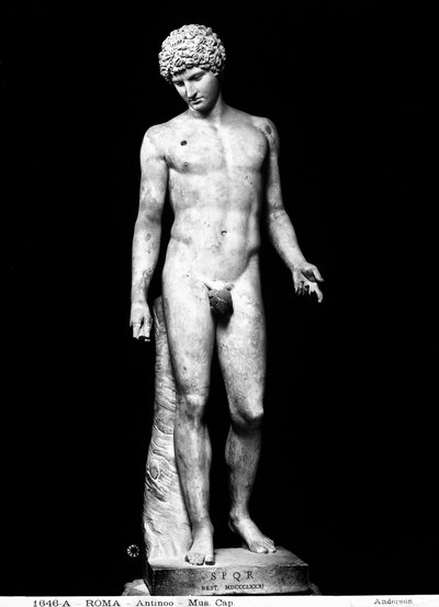 Antinoo da Roman Roman