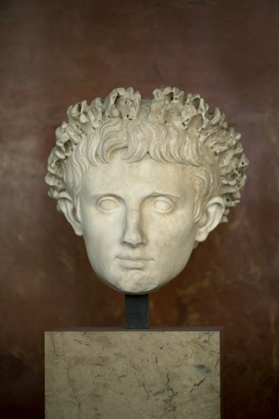 Testa dell