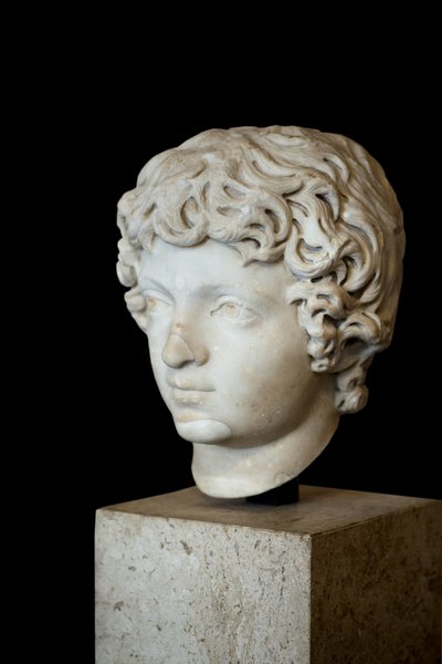 Testa dell