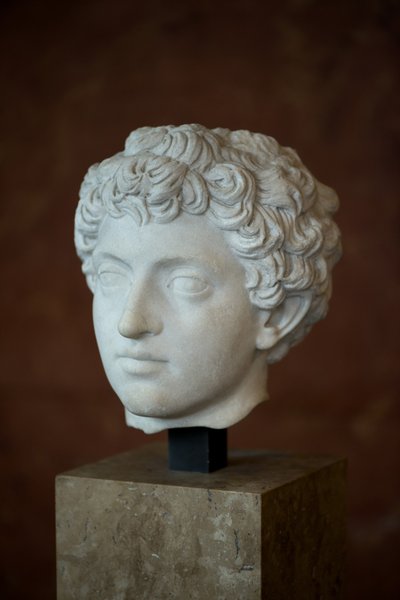 Testa dell