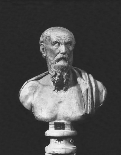 Busto di Diogene da Roman Roman