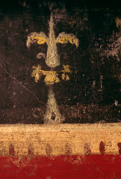 Elemento decorativo, dettaglio da affresco nel triclinio della Casa dei Vettii, Pompei (Lista del Patrimonio Mondiale UNESCO) da Roman Roman