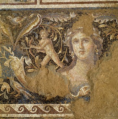 Pavimento di una villa romana a Zippori (Nazareth) raffigurante scene della vita di Dioniso, (dettaglio) da Roman Roman