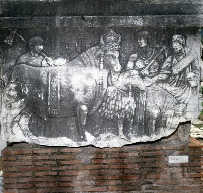 Foro Romano: Suovetaurile (sacrificio di un maiale, un ariete e un toro). Roma da Roman Roman