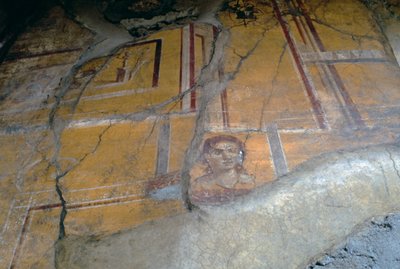 Affresco dalla Casa dei Cupidi d