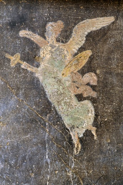 Affresco con figura alata, ala destra nella Casa dei Vettii, Pompei (Patrimonio Mondiale dell