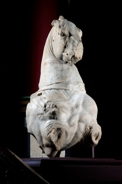 Parte anteriore di un cavallo (marmo) da Roman Roman