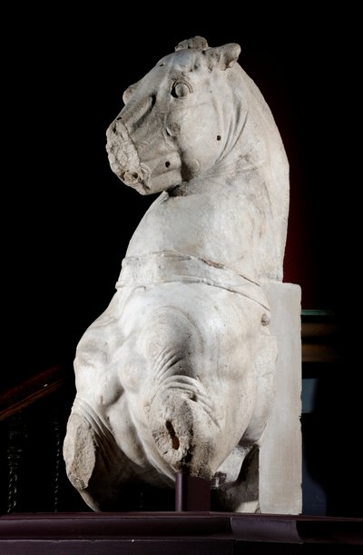 Parte anteriore di un cavallo (marmo) da Roman Roman