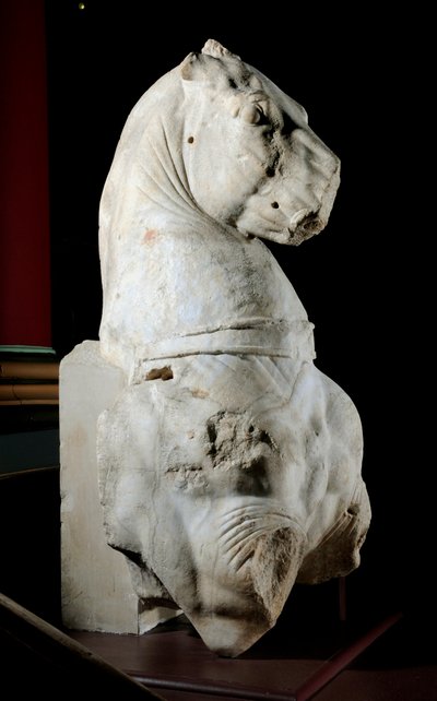 Parte anteriore di un cavallo da Roman Roman