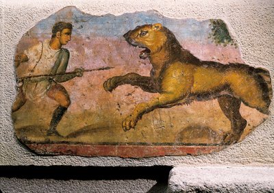 Gladiatore che combatte un leone da Roman Roman