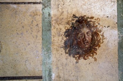 Testa di Gorgone, affresco dalla Casa di Gaio Giulio Polibio, Pompei (Lista del Patrimonio Mondiale dell