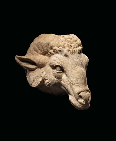 Testa di un ariete, c.1° secolo a.C. - 1° secolo d.C. da Roman Roman