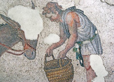 Mosaico raffigurante un uomo che nutre il suo mulo, Bazar di Arasta, Moschea di Sultan Ahmet, Istanbul da Roman Roman