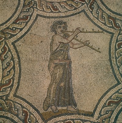Mosaico raffigurante flautista femminile dalla Casa di Dioniso, a Volubilis, Marocco, Civiltà Romana da Roman Roman