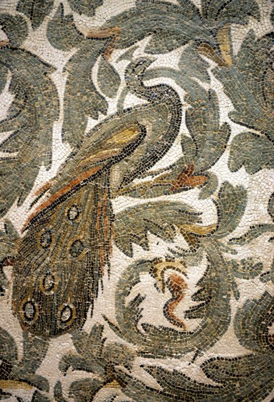 Pavone, Dettaglio di Mosaico - IV secolo d.C., Museo del Bardo, Tunisi da Roman Roman