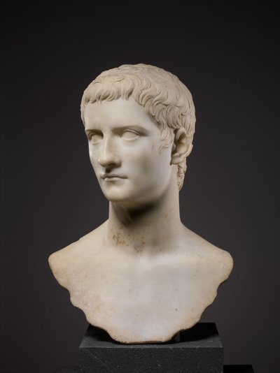 Busto ritratto dell