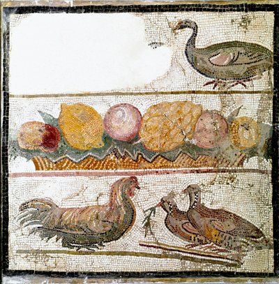 Arte romana: mosaico raffigurante galline, oche, pollame. Roma, Museo Nazionale Romano da Roman Roman
