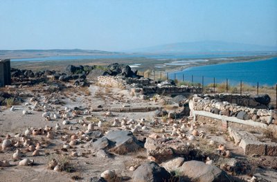 Veduta del sito della città di Tharros, antico porto punico-romano, fondato dai Fenici in Sardegna, Italia da Roman Roman