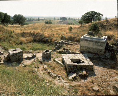 Tempio e altare dei sacrifici da Roman Roman