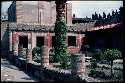 Il giardino della casa dell
