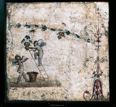 Affresco del terzo stile che raffigura Cupidi che raccolgono, dalla Casa di Marco Lucrezio a Pompei da Roman Roman