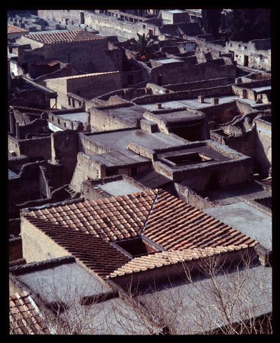Veduta della Casa sannitica, V secolo a.C.-I secolo d.C. da Roman Roman