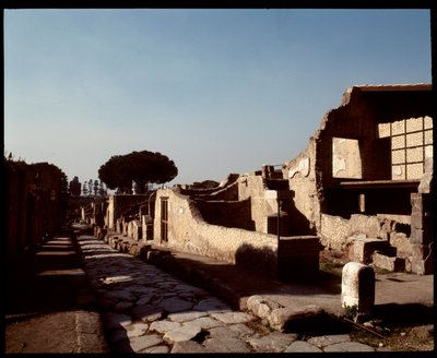 Veduta del Decumanus Maximus, V secolo a.C.-I secolo d.C. da Roman Roman