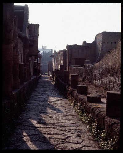 Vista di una strada, V secolo a.C.-I secolo d.C. da Roman Roman