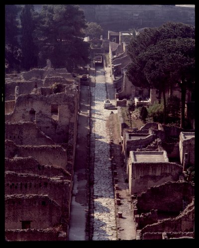 Vista del cardo V, V secolo a.C.-I secolo d.C. da Roman Roman
