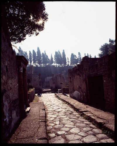 Veduta del cardo V, V secolo a.C.-I secolo d.C. da Roman Roman