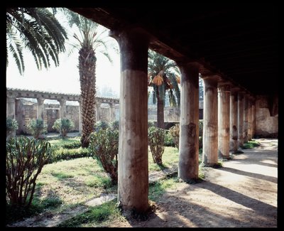Veduta del peristilio della Casa d