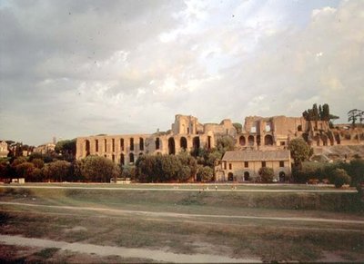 Vista del Palatino dal Circo Massimo da Roman Roman