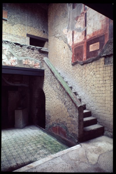 Vista della casa del Bel Cortile, V secolo a.C.-I secolo d.C. da Roman Roman