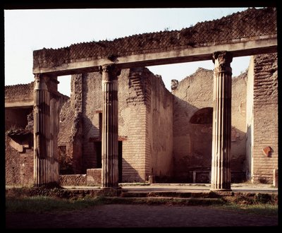Veduta della palestra, V secolo a.C.-I secolo d.C. da Roman Roman