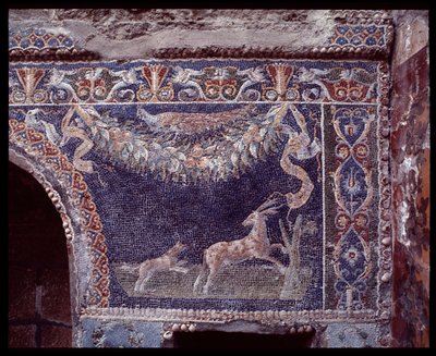 Mosaici murali del ninfeo della casa di Nettuno e Anfitrite, sito di Ercolano, V secolo a.C.-I secolo d.C. da Roman Roman