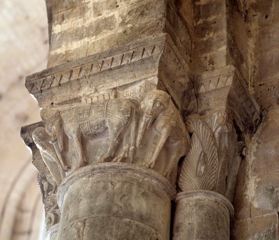 Elefanti da Romanesque