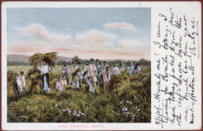 Cartolina raffigurante contadini rumeni durante la raccolta, 1906 da Romanian School