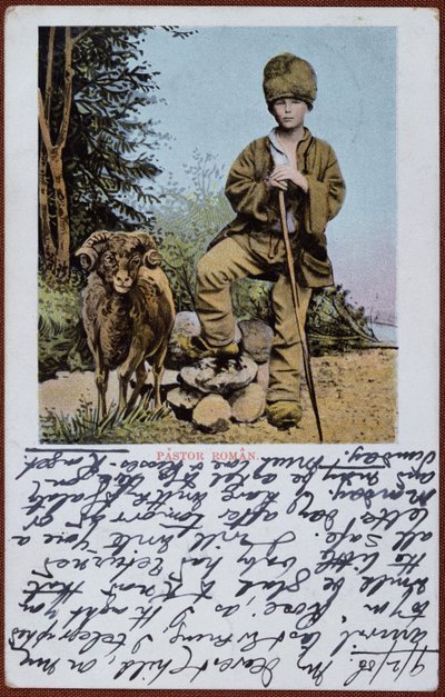 Cartolina raffigurante un giovane pastore rumeno, c.1906 da Romanian School