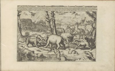 Animali asiatici e africani da Romeyn de Hooghe