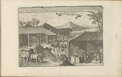 Lavoratori di zucchero brasiliani da Romeyn de Hooghe