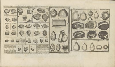 Diamanti, rubini e perle da Romeyn de Hooghe