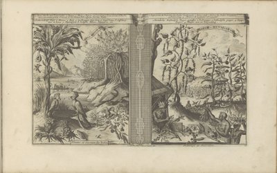 Piante, uccelli e campi di pepe da Romeyn de Hooghe