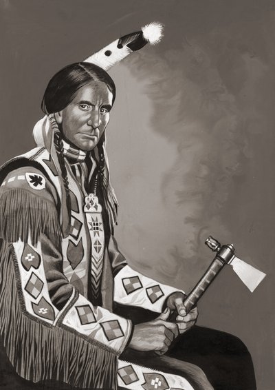 Gufo grigio (gouache su carta) da Ron Embleton